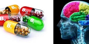 milyen vitaminokra van szükség az agyhoz